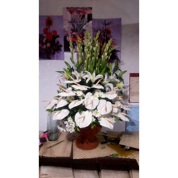 VASE-23