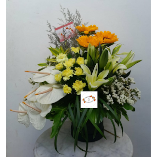 BOX-FLOWERS20