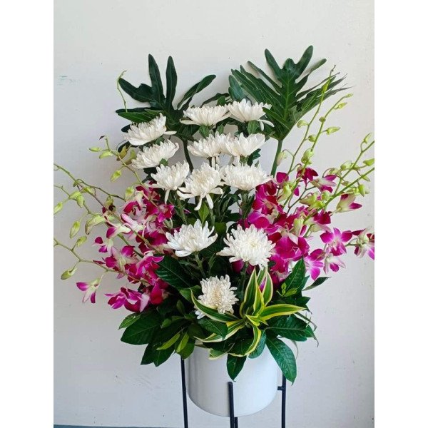 VASE-20