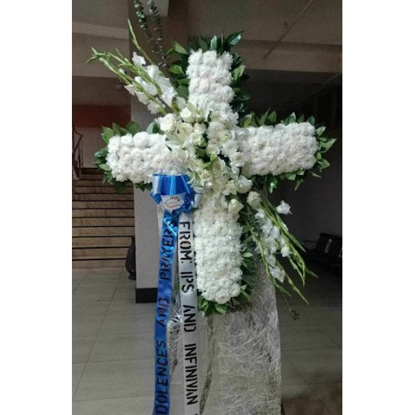 SYMP-CROSS3