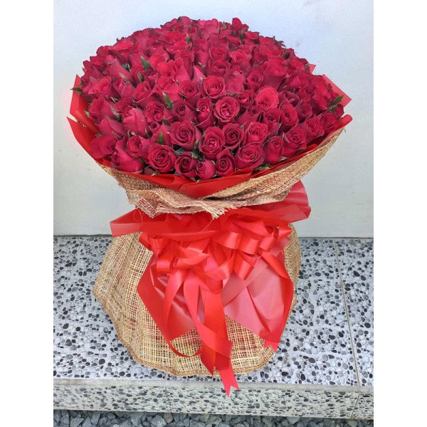 ROSES-8