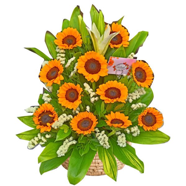 SUNFLOWER-BASKET
