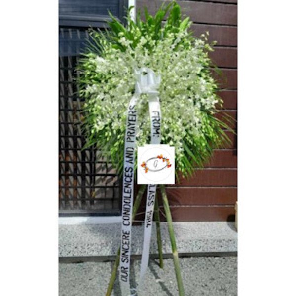 SYMP-ORCHIDS