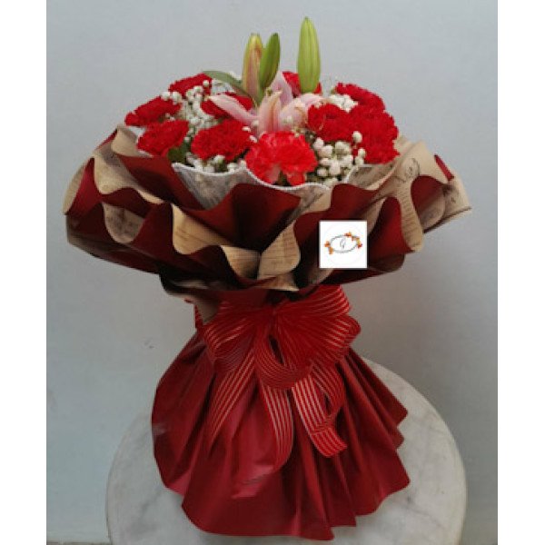 CARNATION-RED1