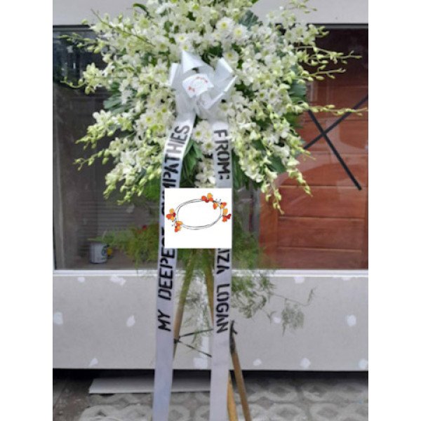 SYMP-1L12