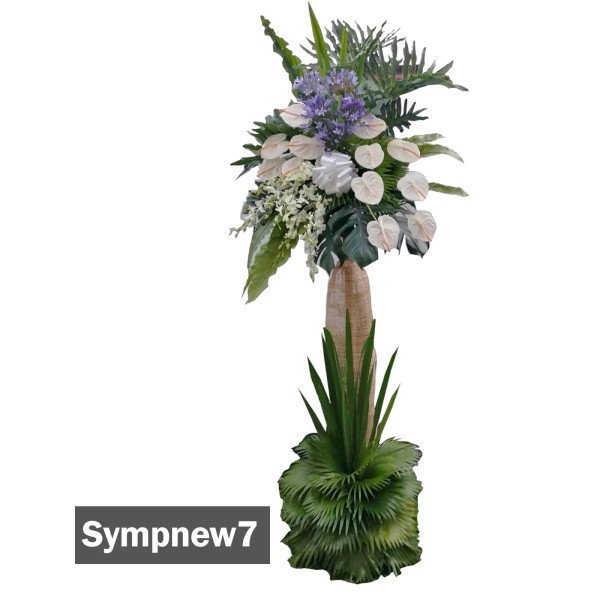 SYMP-NEW7