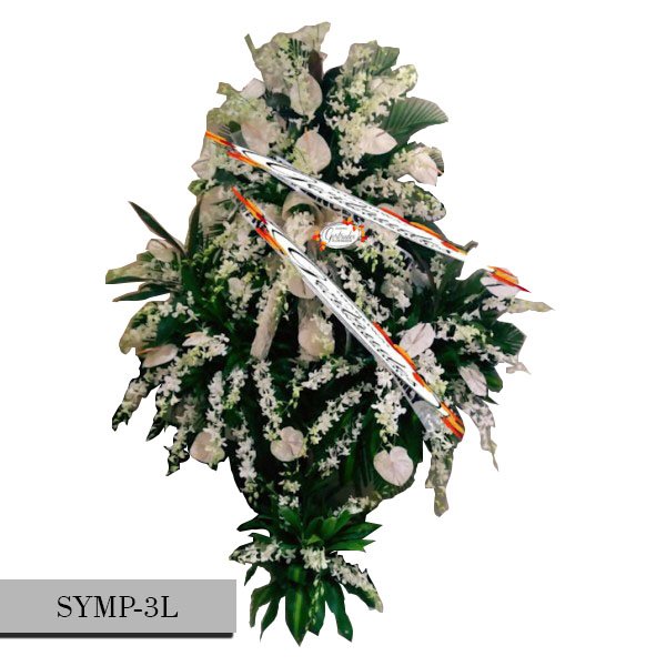 SYMP-3L1