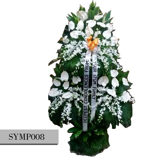 SYMP008