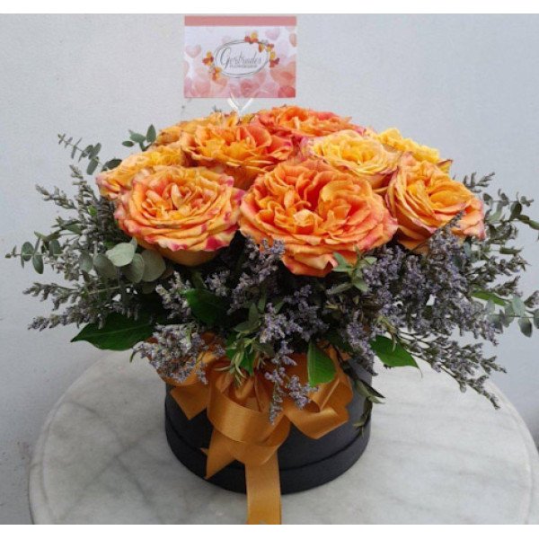 ROSE-BOX2